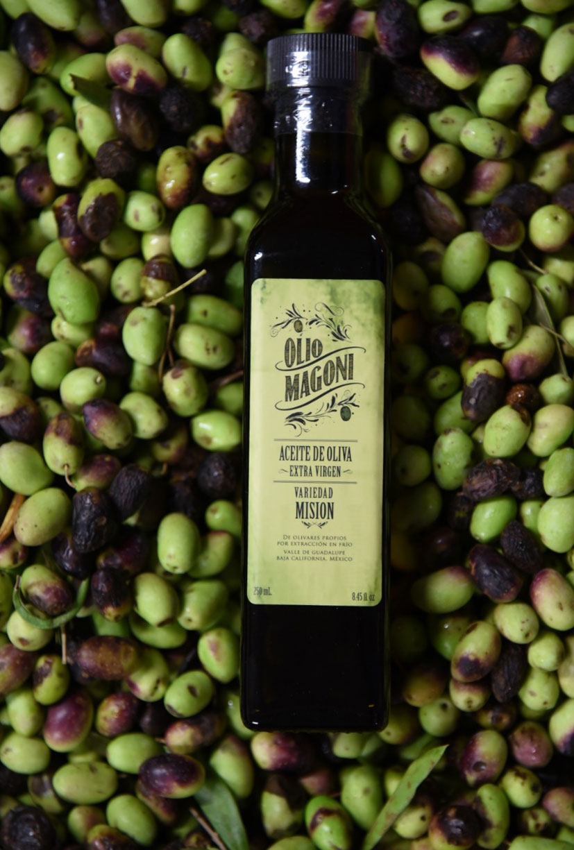 Close up de botella de aceite de oliva 